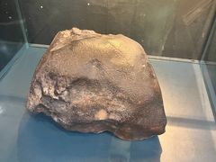 -浙江自然博物院(杭州馆)