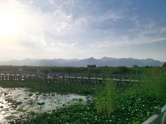 -敕勒川草原