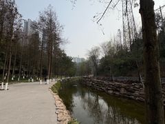 -重庆彩云湖湿地公园