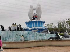 -芜湖新华联大白鲸海洋公园