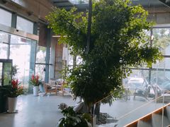 -了不起的考拉咖啡店(高新店)