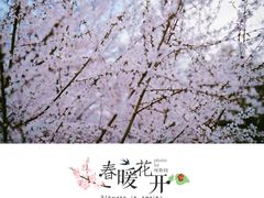 -西安青龙寺遗址景区