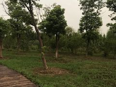 -南湖湿地公园