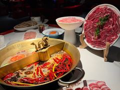 -小龙翻大江文化火锅(宽窄店)