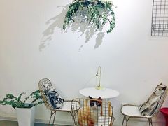 -豆老板的猫咖啡(碑林博物馆店)