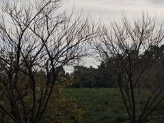 -敬亭山风景名胜区