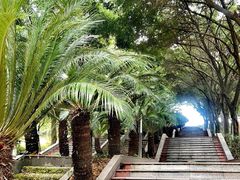 -重庆平顶山公园