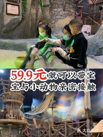 59.9元就可以让宝宝与动物亲密接触