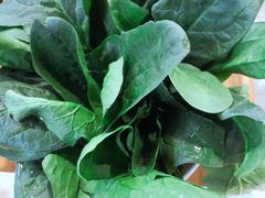 -竹叶涮肉坊(总店)