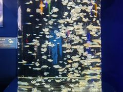 -太平洋海底世界