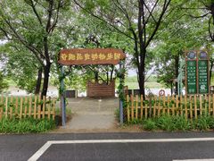 -泗洪洪泽湖湿地景区