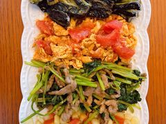 -田螺阿姨自营月嫂·育儿嫂(高新店)