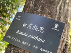 -深圳仙湖植物园