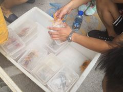-华声天桥民俗文化园