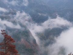-温州永嘉书院