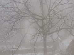 -终南山南五台景区