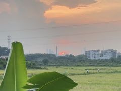 -长洲岛