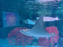 -沈阳海洋探索中心