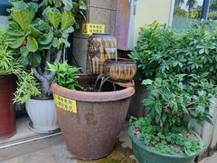 -茶油香闽南菜·花园餐厅(前埔店)
