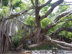 -大嶝英雄三岛战地观光园