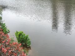 -重庆彩云湖湿地公园