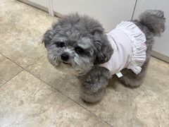 -美联众合动物医院·24h转诊中心