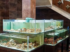 -樱之盛宴·蟹料理海鲜自助(前进大街店)