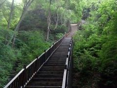 -天女山森林公园
