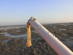 -北海金海湾红树林生态旅游区