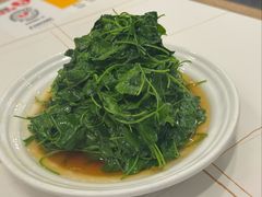 -海金滋(陕西南路店)