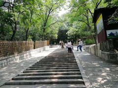 -灵岩山风景区