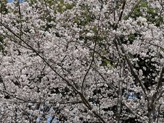-黄兴公园
