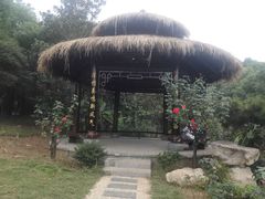 -东湖落雁景区