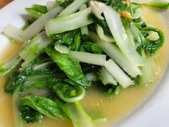 -乌文新澄海卤鹅店