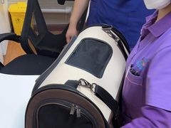 -北京观赏动物医院·24小时大型综合·猫专科·异宠专科