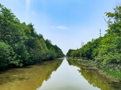 -上海海湾国家森林公园