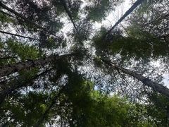 -参仙谷生态旅游度假区