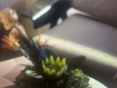 -漢頓温泉度假酒店