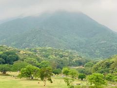 -梧桐山风景名胜区