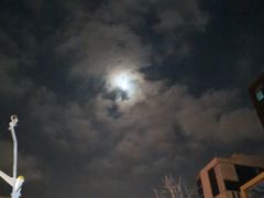 -黄记大闸蟹专卖店·活蟹·醉蟹