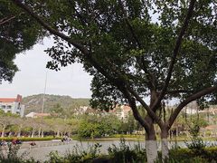 -厦门大学(思明校区)