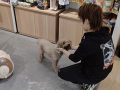 -宠物家(双井店)