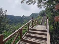 -大岭沟猕猴桃谷风景区