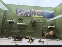 -国家自然博物馆