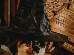 -BUND·FIVE外滩5号(天际店)