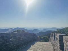 -黄贤森林公园