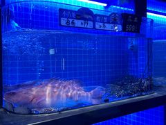 -望海臻鲜·海鲜餐厅