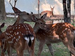 -观唐（国际）度假村温泉