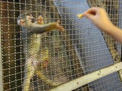 -成都浩海立方海洋公园