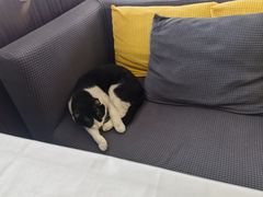 -路易时光(蕴川路店)